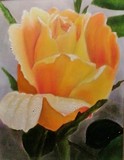 by Rita Benz