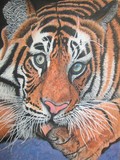 by Bhagvati Nath