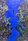 by Anna Beveridge