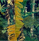 by ferril nawir