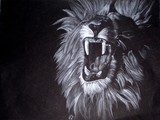by Jennie Hord