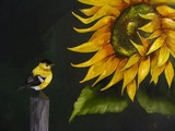 by Fay Harris