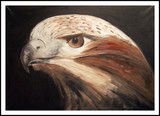 by Hrafnhildur Gisladottir