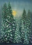 by Asheley Kapelewski