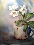 by Tanya Lundmark