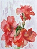 by Irina Stroup