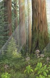 by Kim Reid