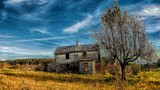 by michael  farnham
