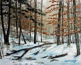 by Robert Springs