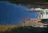 by PETER ALLISON