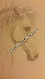 by Susan Rathbone 