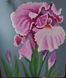 by Pat  Mayfield 