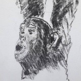 by Evdokia Risak