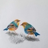 by Anju Rajesh