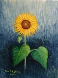 by Paula C. L. Santos