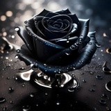 by Mihaela B