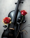 by Mihaela B