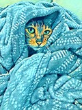 by Leslie Ray