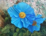 by Lana Korolievskaia