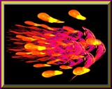 by Kay L. Schlagel