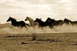 by CowGirlZen Artworks
