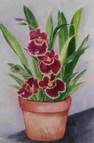 by Bev                  Chudey