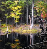 by Edward Bajgerowicz