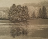 by Regina Calton Burchett