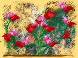 by Aline Pottier