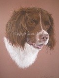 by Joanne Simpson-Connor