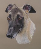 by Joanne Simpson-Connor
