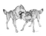 by Anna Khairova