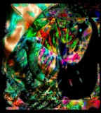 by Barry Huyett