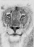 by Deborah L. Duffield