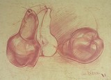 by SacraVita 