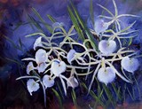 by Lori McNamara