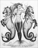 by Crystal Dunne