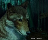 by Tina Harkin