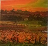 by Liz Robinson