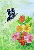 by Jodi Jones