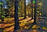 by Sigridur Bachmann