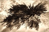 by Sigridur Bachmann