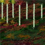 by Debbie Battrick