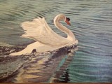 by Sheryl Boivin