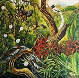 by Meena Subramaniam