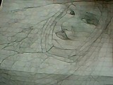 by syed abrar