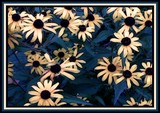 by Angela Tossell