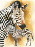 by Barbara Keith