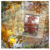 by Deborah Ingram