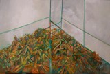 by Caballero Salguero